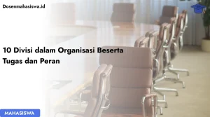divisi dalam organisasi