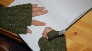 cara mereview jurnal