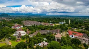 universitas jurusan peternakan di indonesia