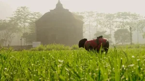 universitas jurusan pertanian di malang
